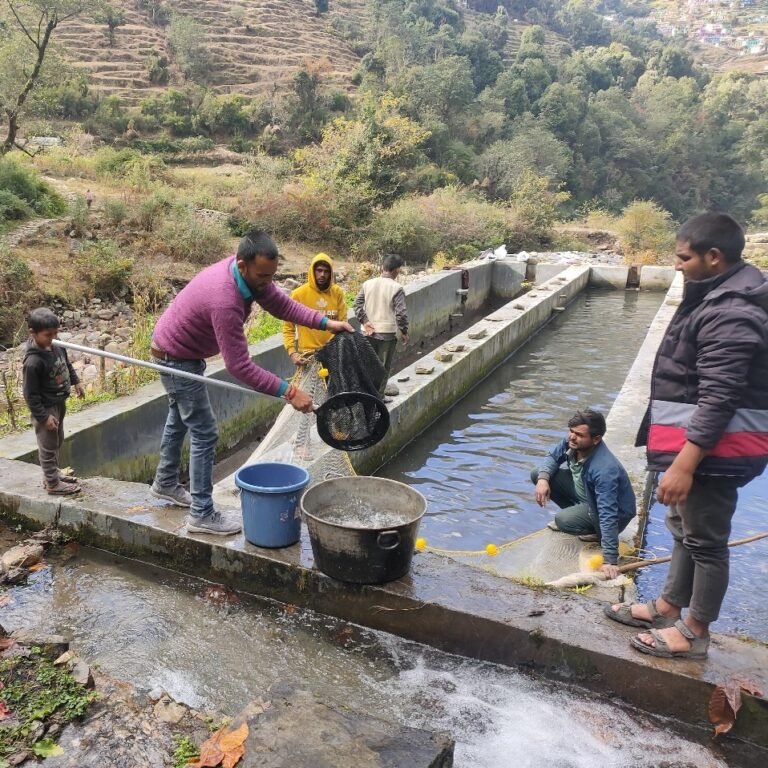 चमोली के मत्स्य पालकों को मछली बीज उत्पादन के लिए आत्मनिर्भर बना रहा मत्स्य विभाग