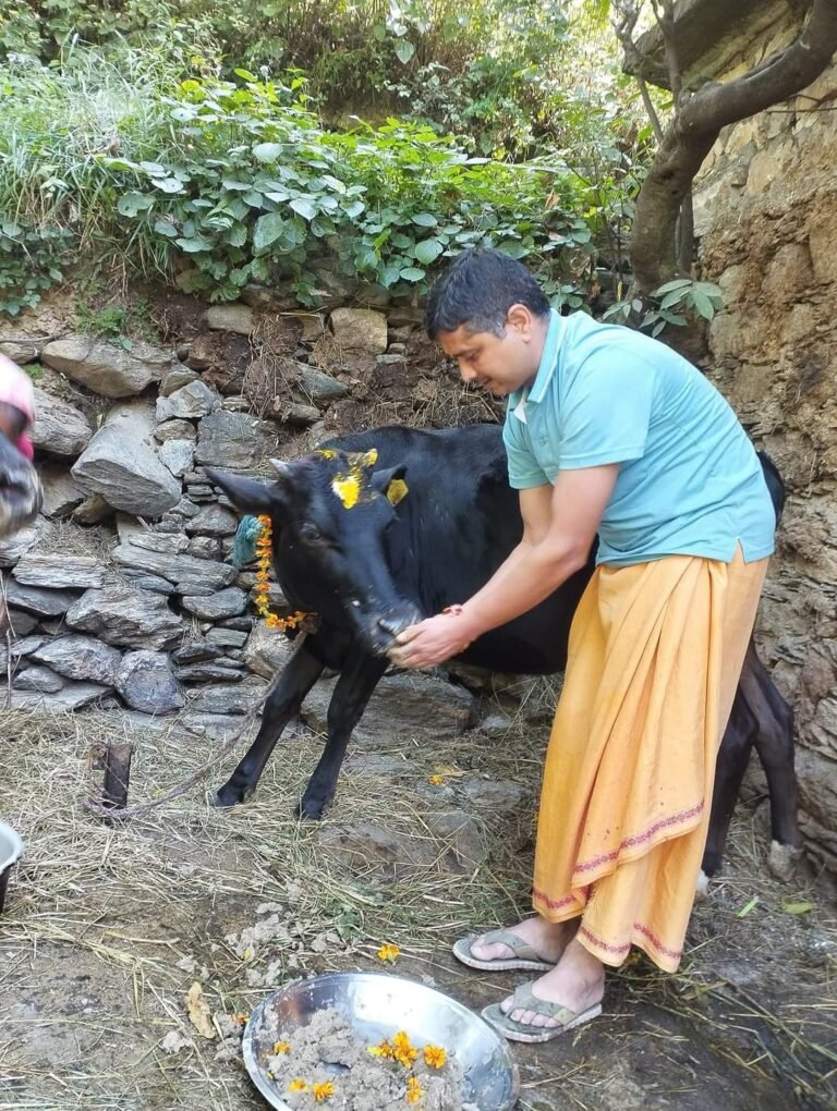 दीपावली पर्व को गढ़वाल के प्रमुख त्योहार बग्वाल के रूप में मनाया