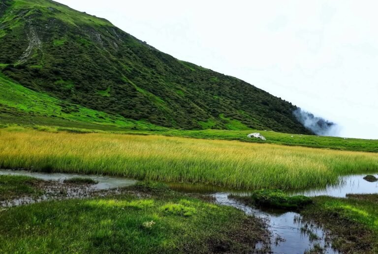 सौंदर्य और साहसिक पर्यटन का खजाना है डियालीसेरा बुग्याल